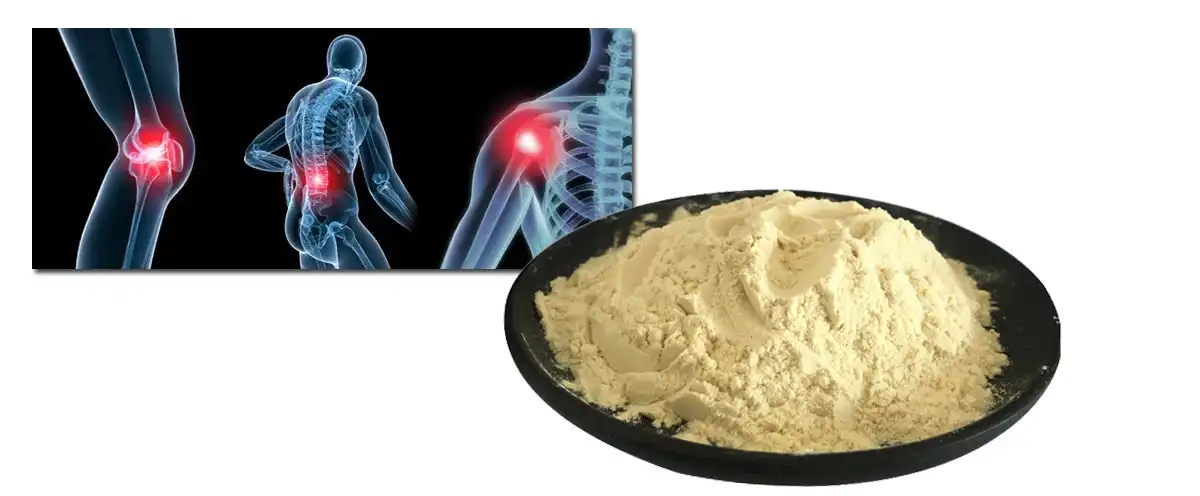 Meloxicam AAAAA.jpg